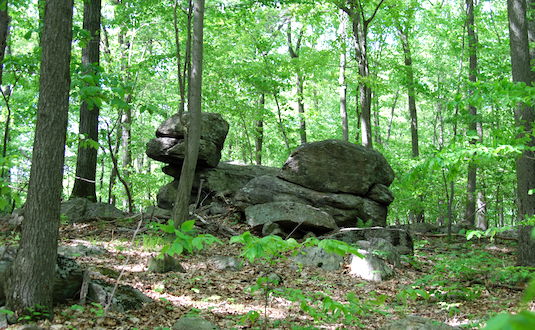 Rocks in Woods