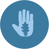 Hand Icon