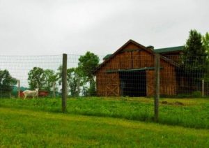 Barn