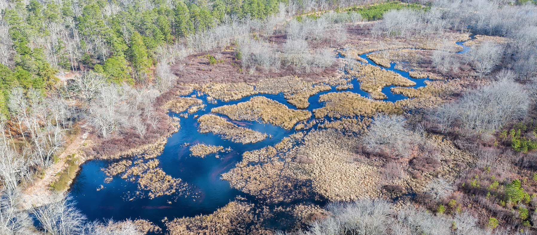 wright thompson cropped