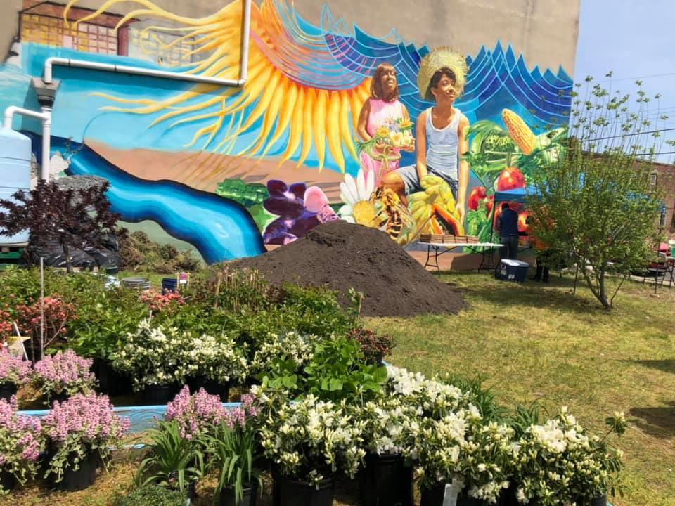 Esperanza Community Garden N6th and Grant Streets