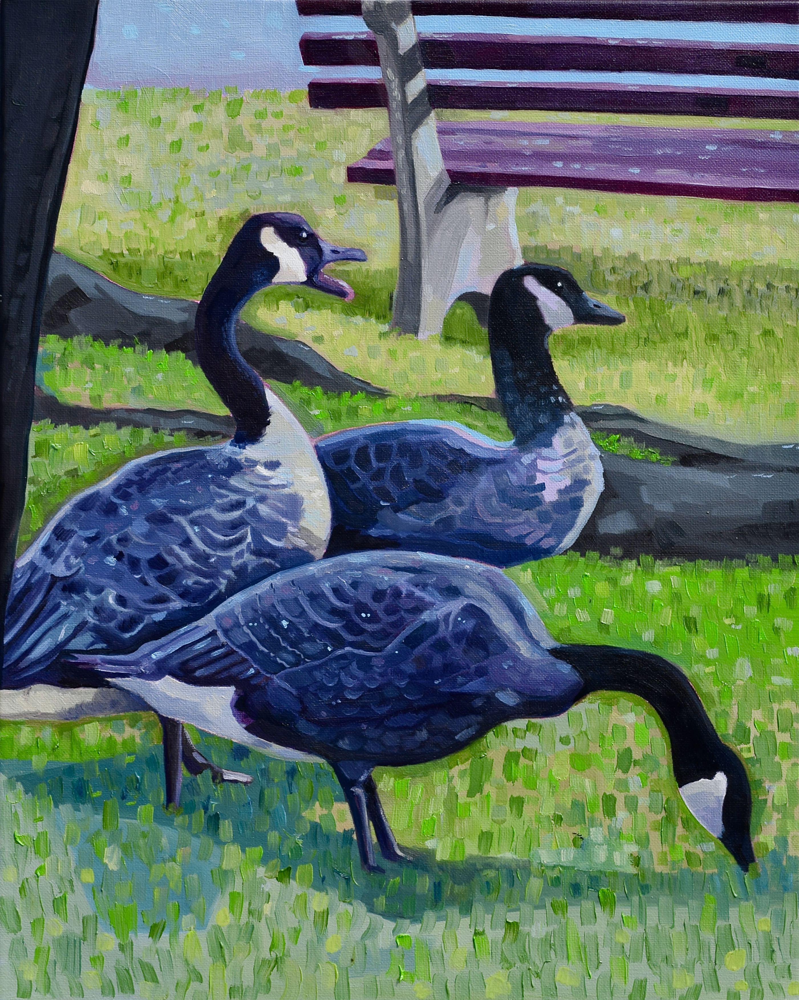 001 - Canada goose - Marion Riley