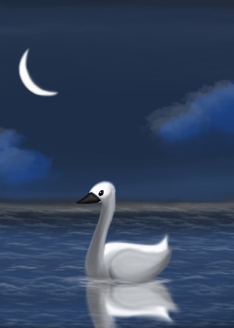 002 - Trumpeter swan - Natasha Bird