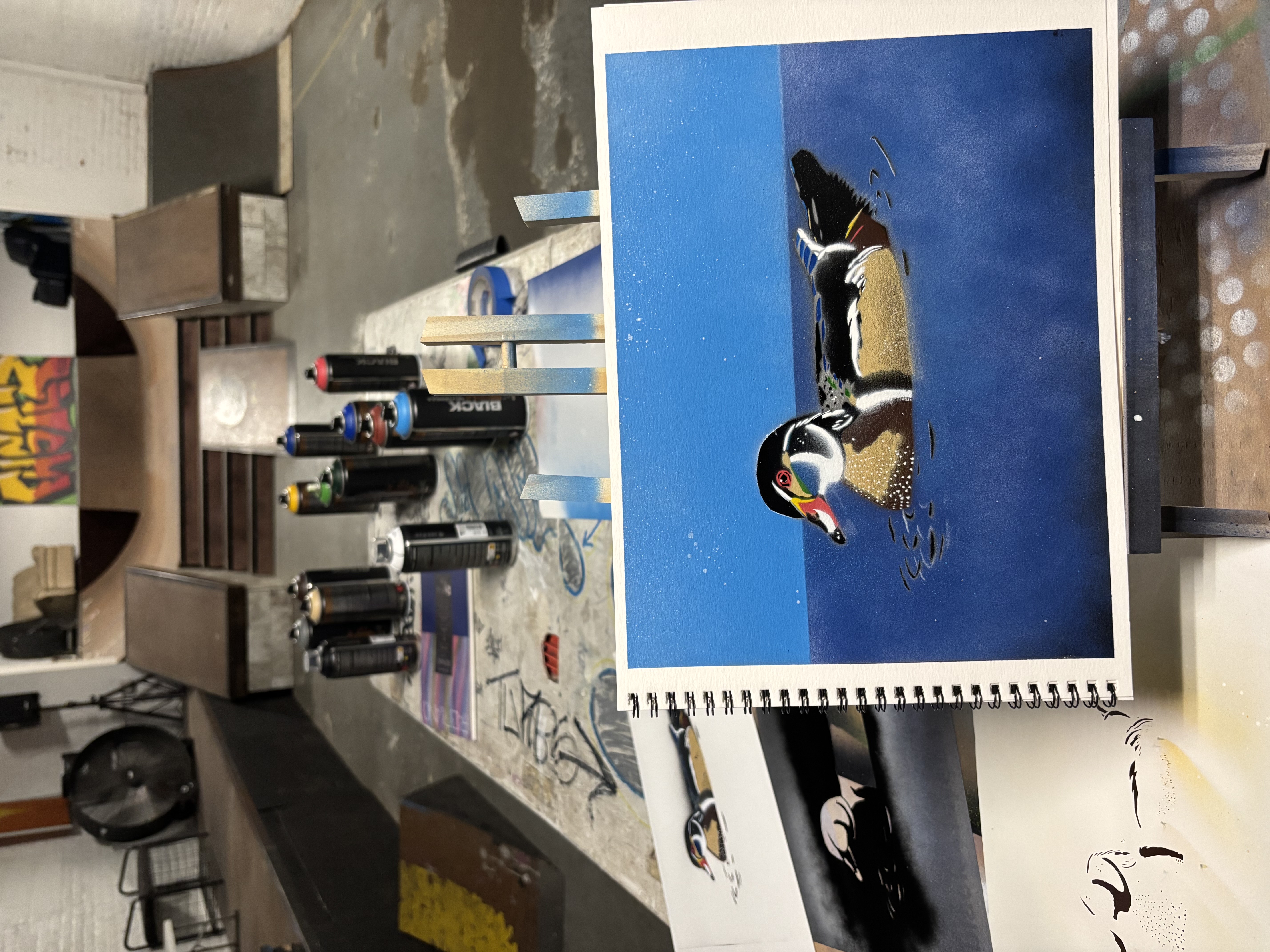 003 - Wood duck - Steven Wolfe