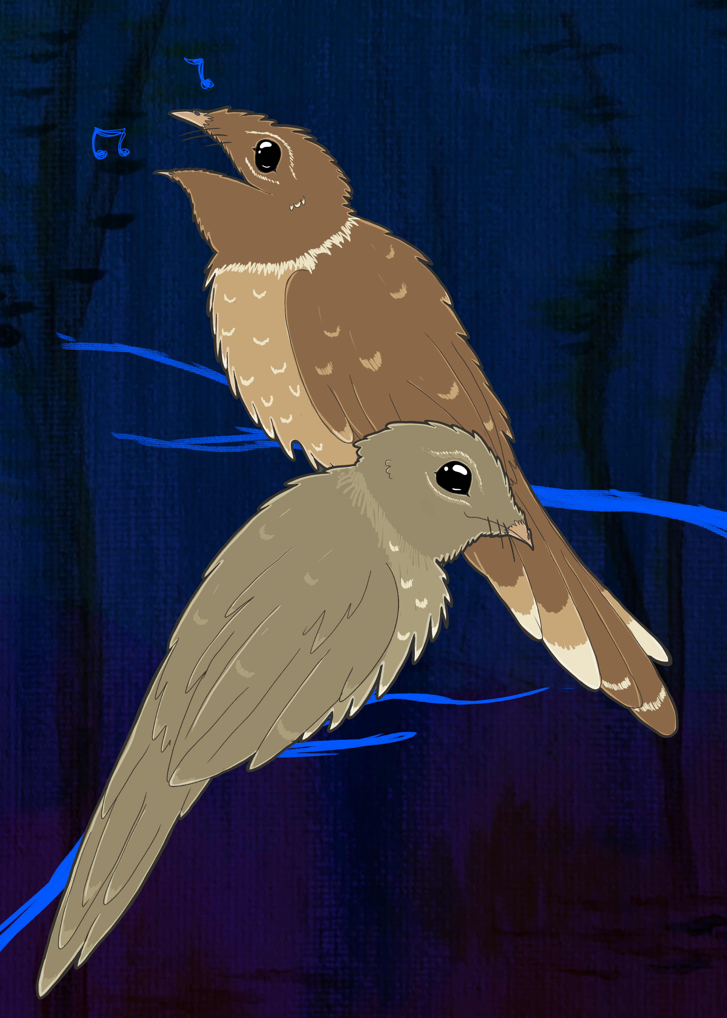 013 - Eastern whip-poor-will - Danielle Coiro