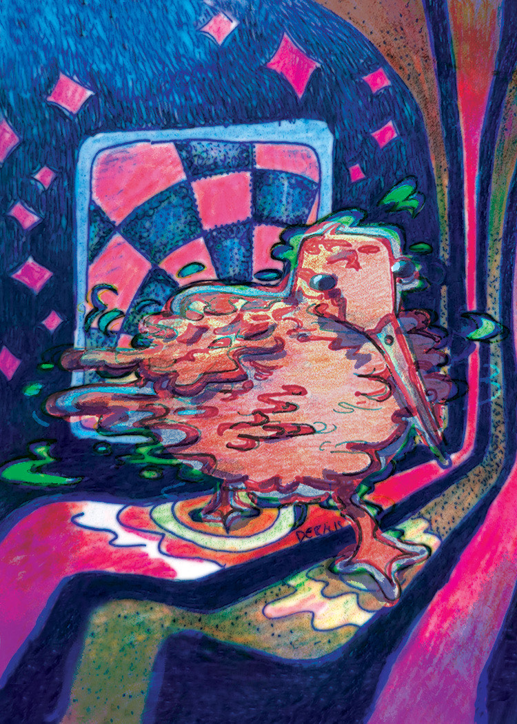 024 - American woodcock - Spencer Divis