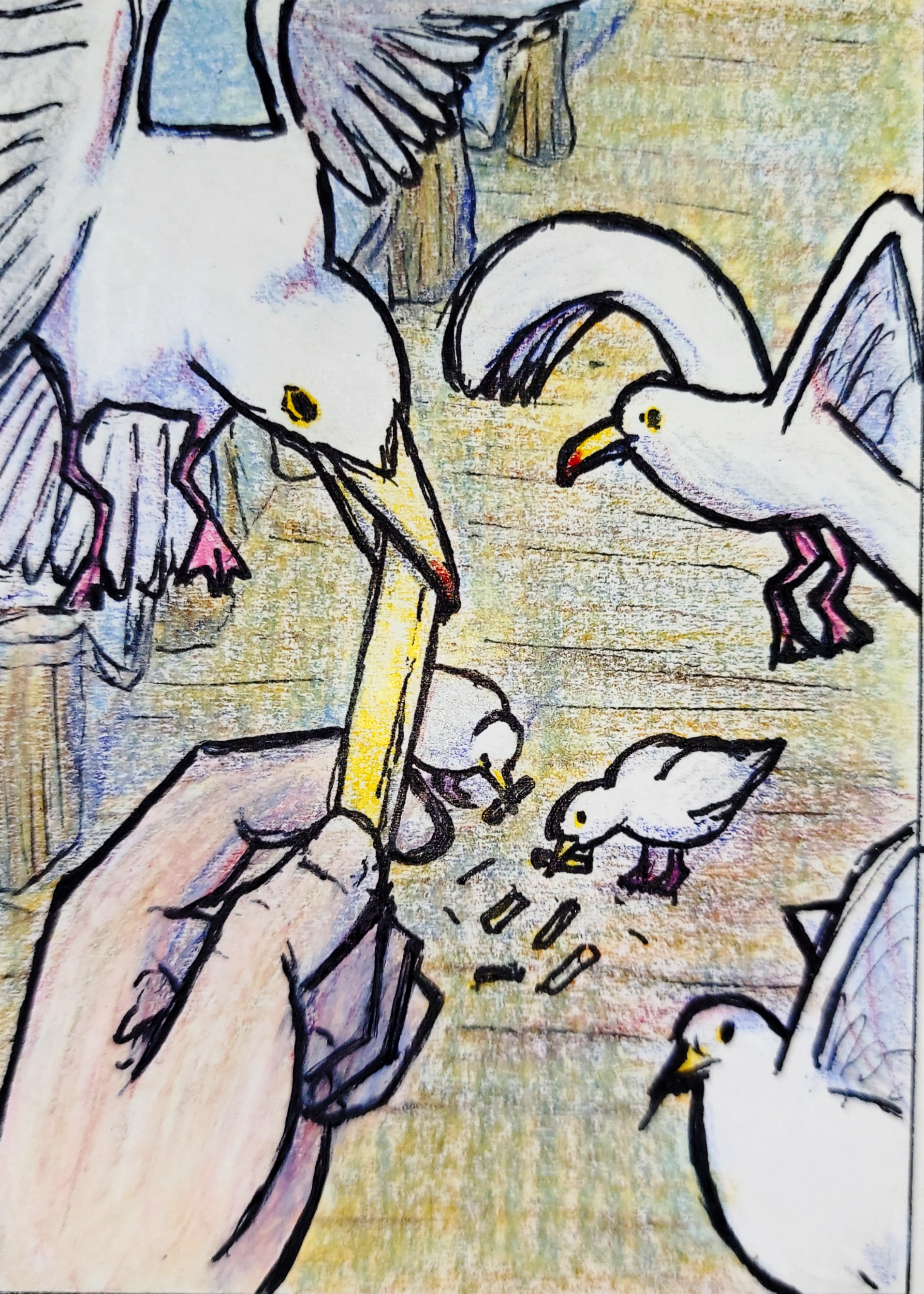 032 - Herring gull - Jessica Pippin