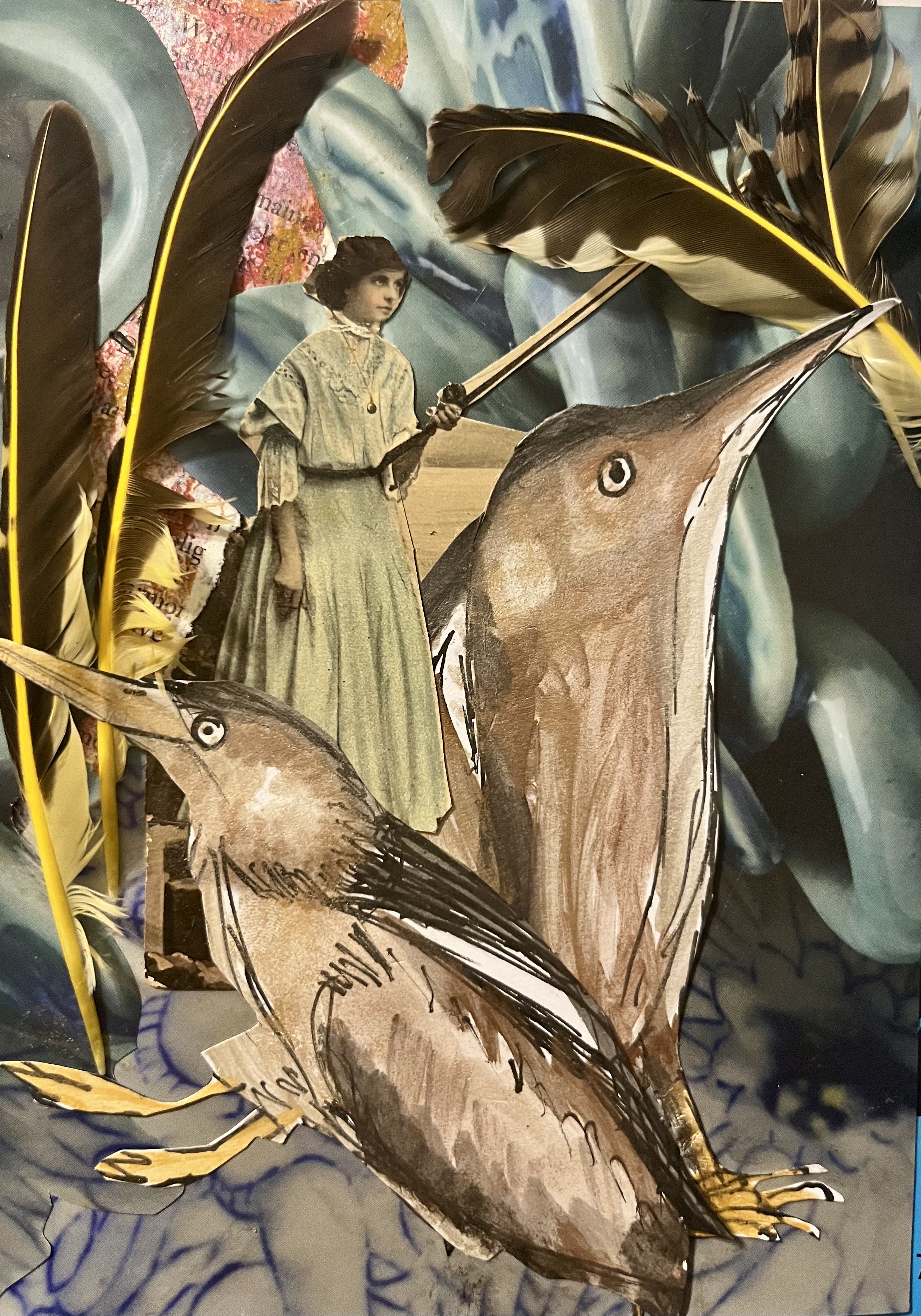 042 - Least bittern - Darlene Sardinsky