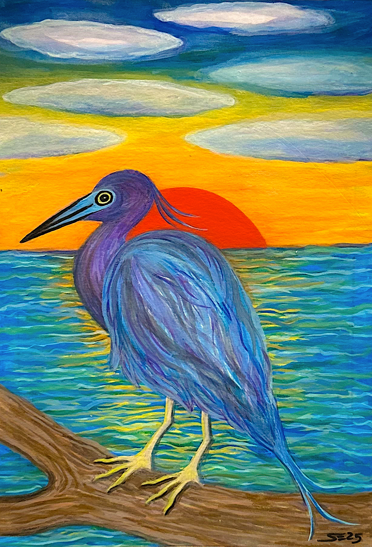 046 - Little blue heron - Sonya Elefante 2