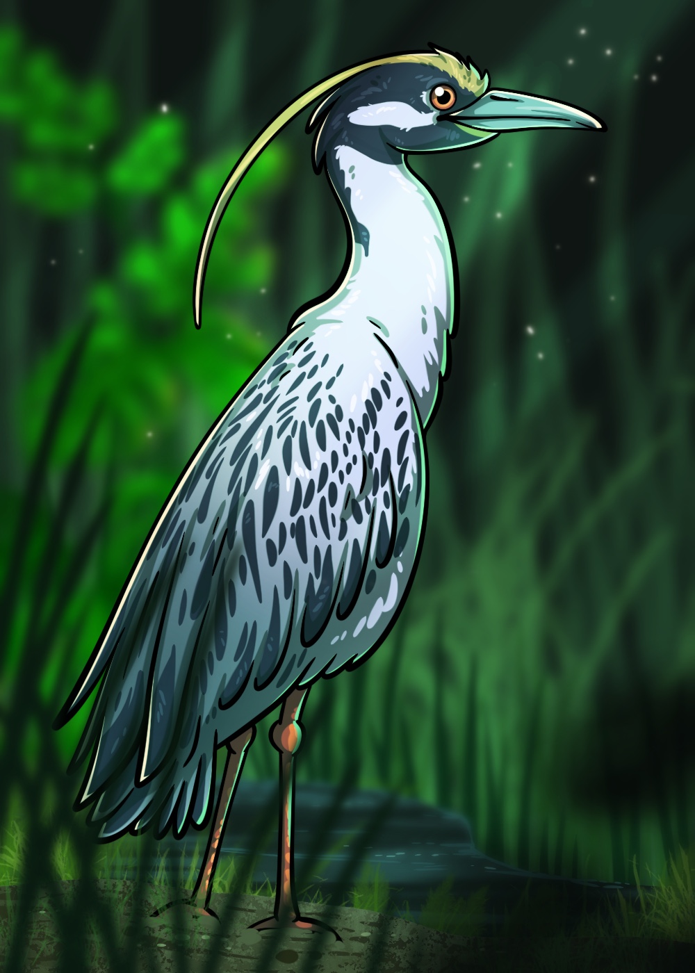049 - Yellow-crowned night heron - Maggie Rose Studio
