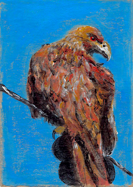 054 - Golden Eagle - Jacob Below