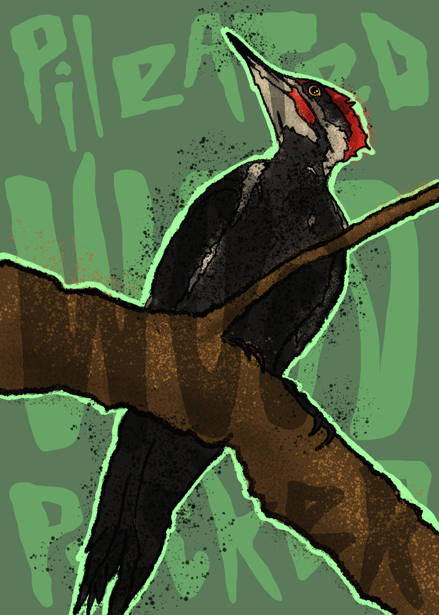 068 - Pileated woodpecker - Frank Chappell III