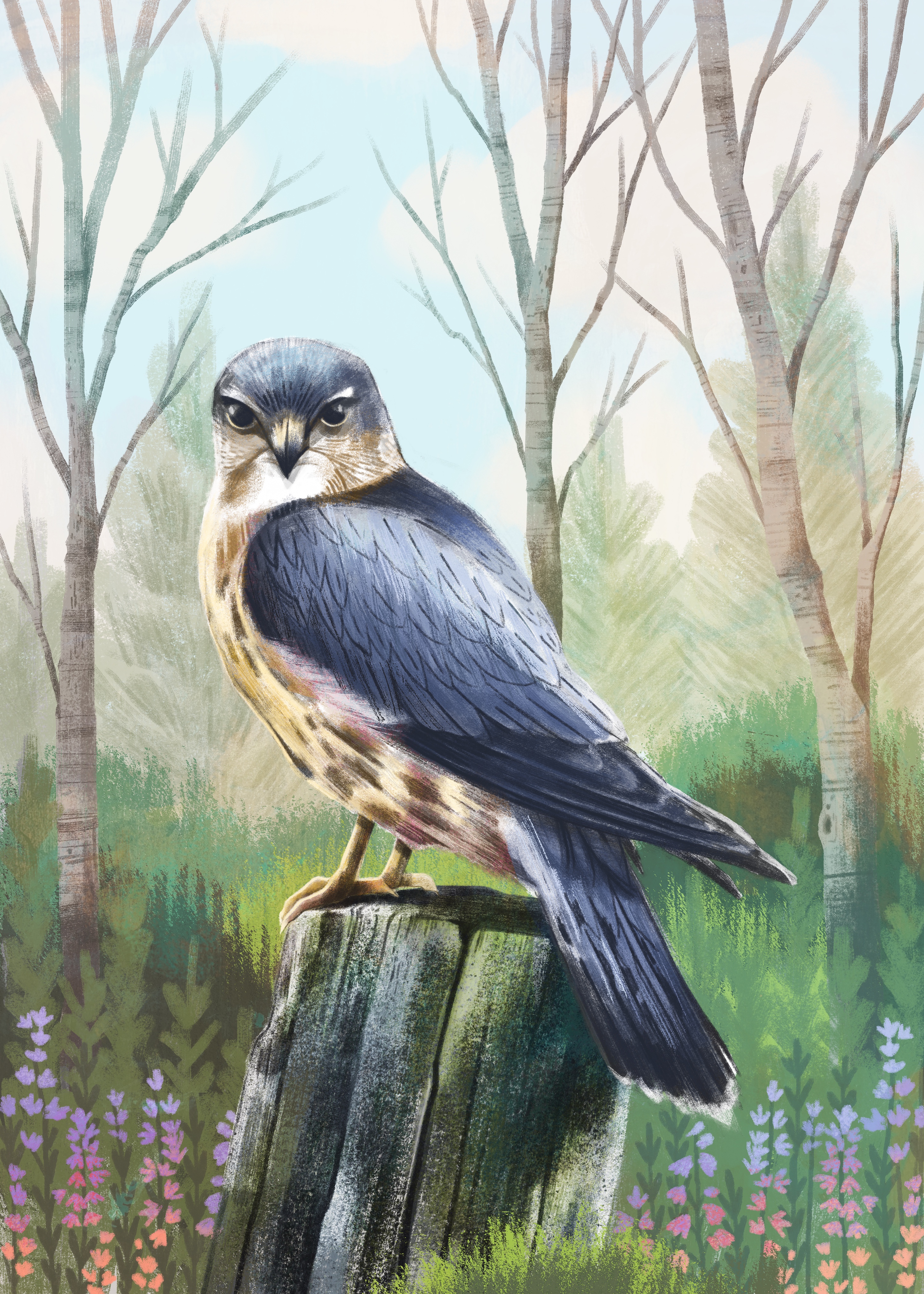 070 - Merlin - Doreen Mulryan