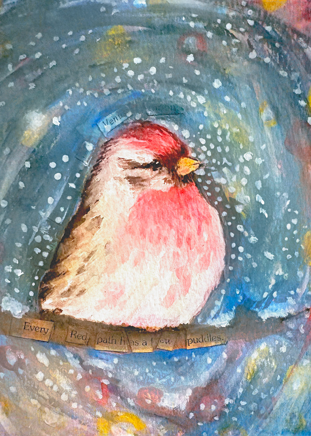 089 - Redpoll - Chelsea Clemens