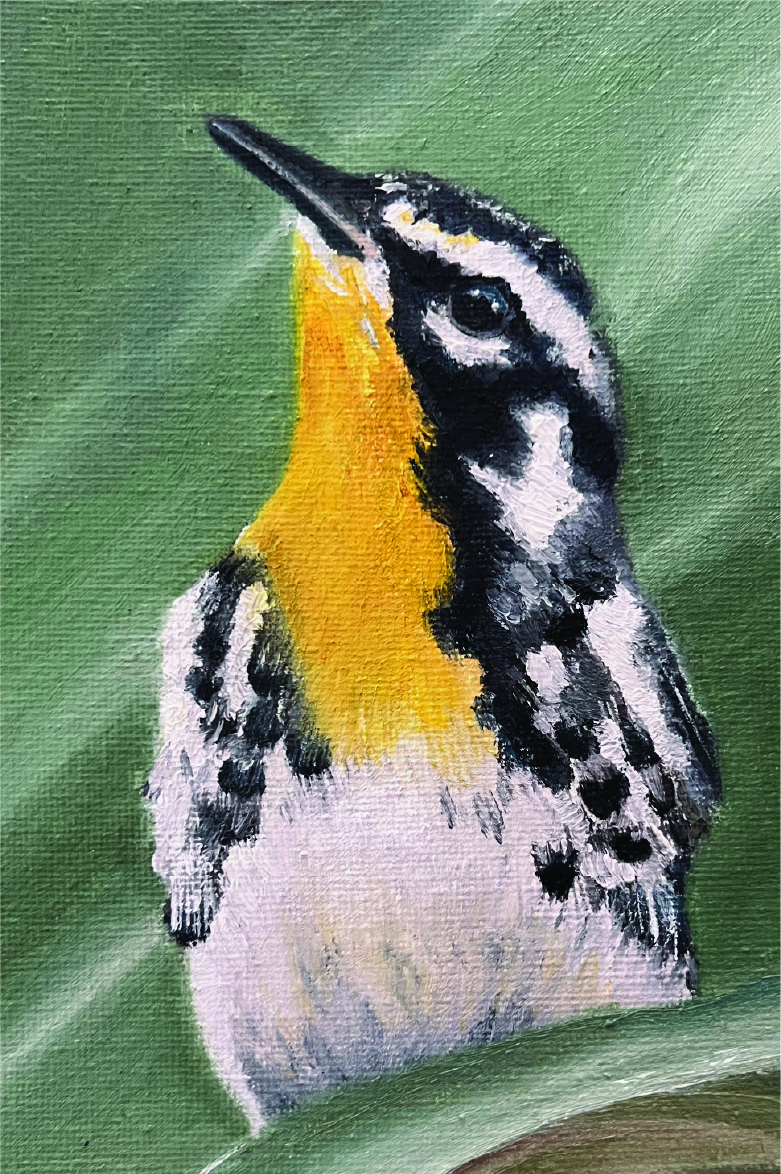 118 - Yellow-throated warbler - Nicole Lawlor
