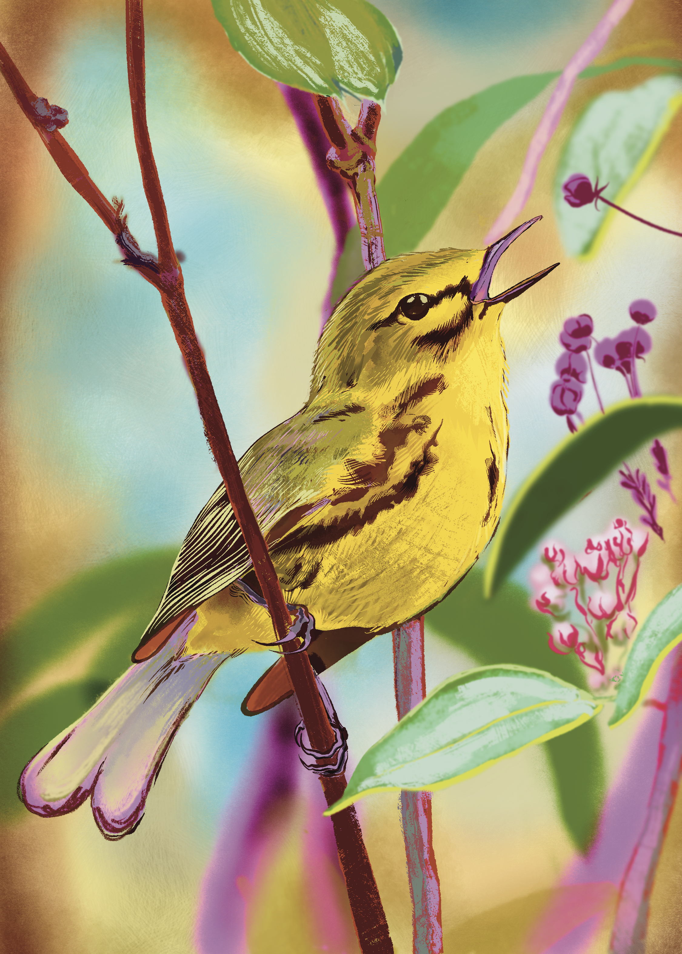 119 - Prairie warbler - Kevin Daviet