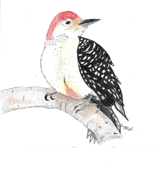 Screenshot 2025-08-20 111129