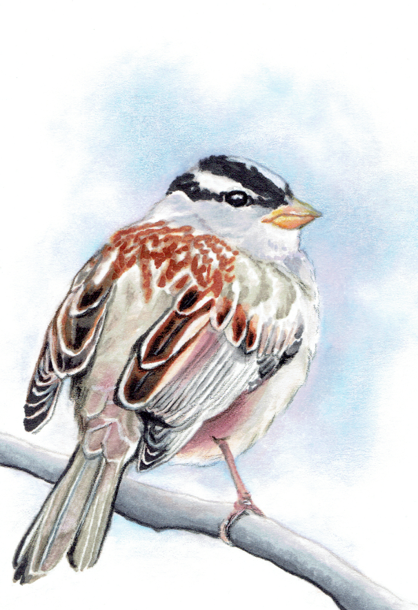 Screenshot 2025-08-20 115705