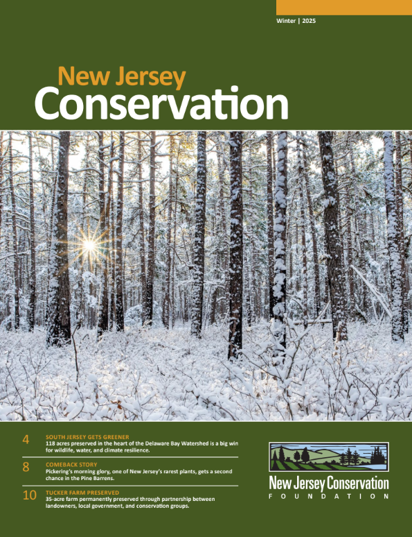 Screenshot 2025-12-03 093019