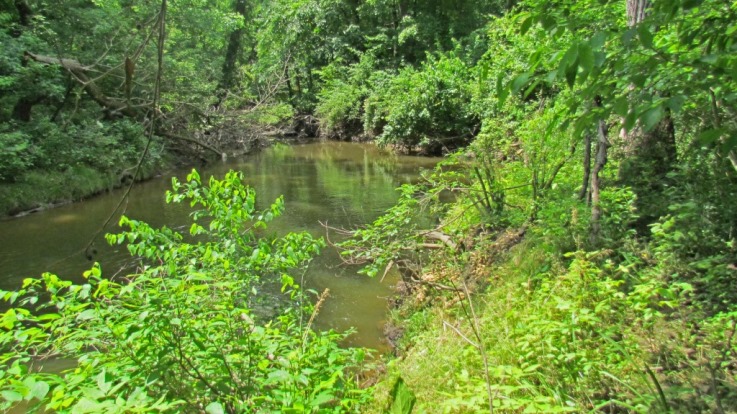 Salem River, Woodstown, NJ